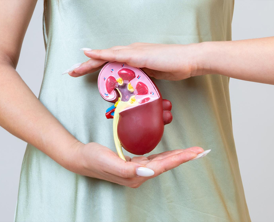 Preventive Nephrology: Tips for Maintaining Healthy Kidneys